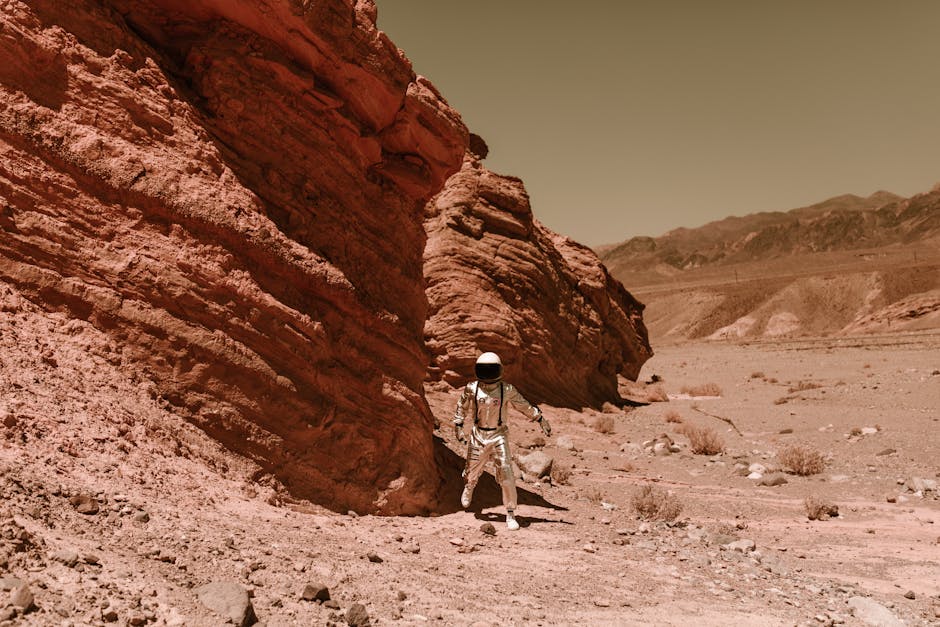 Mars Colony Alpha vs Moon Base Europa vs Orbital Station One: Space Living Comparison 2026