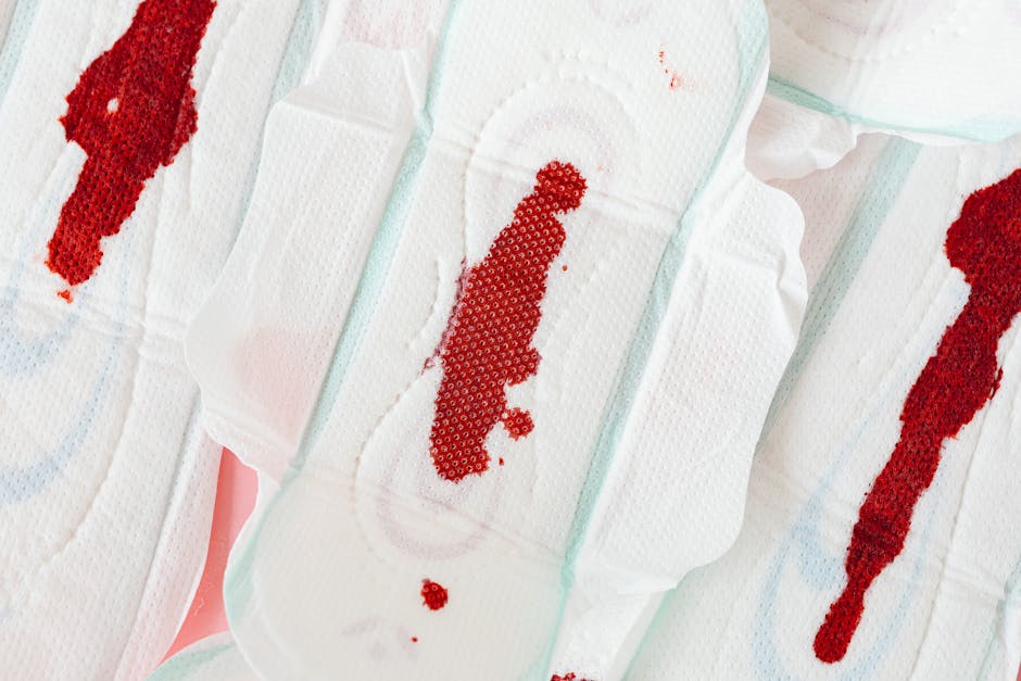 Best Synthetic Blood Products Review: Medical Emergency Solutions in 2026
