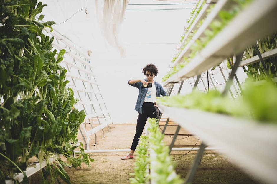 Best Vertical Farming Kits for Apartments: Growing Food Indoors in 2026