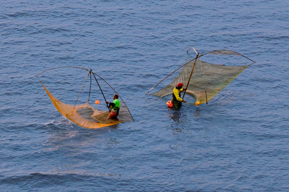 Traditional Fishing vs Robotic Fish Farms vs Cellular Seafood: Ocean Food Future 2026