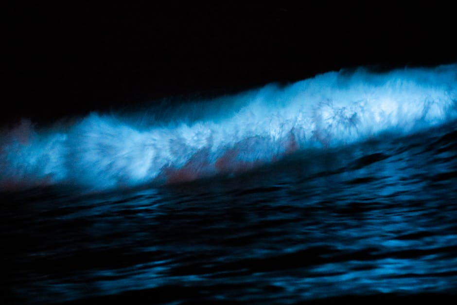 Complete Guide to Starting Your Bioluminescent Tree Installation Business in 2026