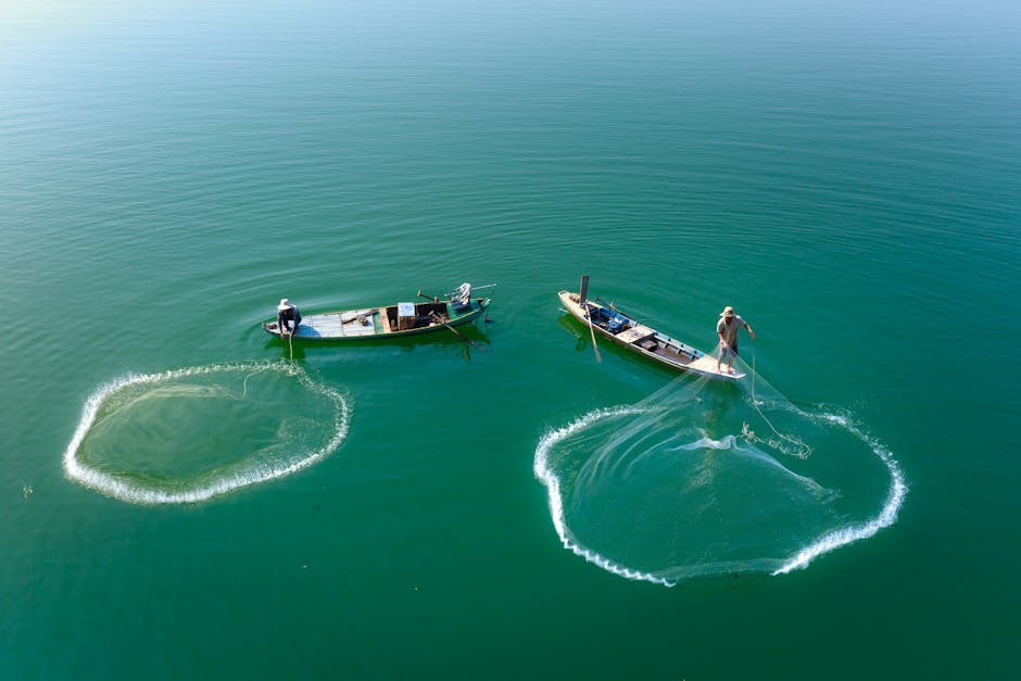 Traditional Fishing vs Robotic Fish Farms vs Cellular Seafood: Ocean Food Future 2026