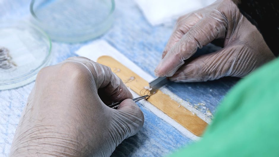 Best Synthetic Skin Grafts Review: Advanced Wound Healing Technology 2026