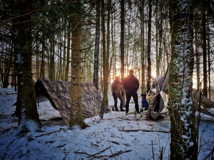Best Metamaterial Camouflage Tents Review: Shape-Shifting Outdoor Shelters for 2026