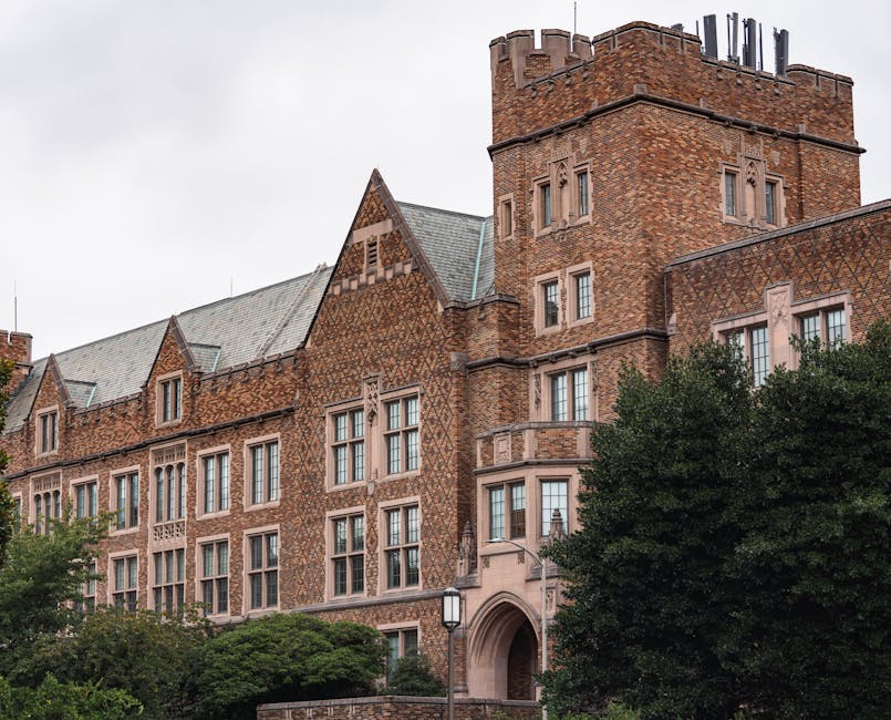 Traditional Universities vs VR Academies vs AI Tutors: Education Evolution 2026