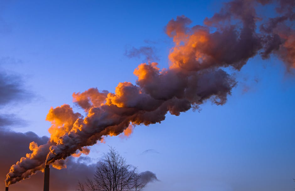 Best Atmospheric Carbon Capture Backpacks Review: Personal Air Purification Systems 2026